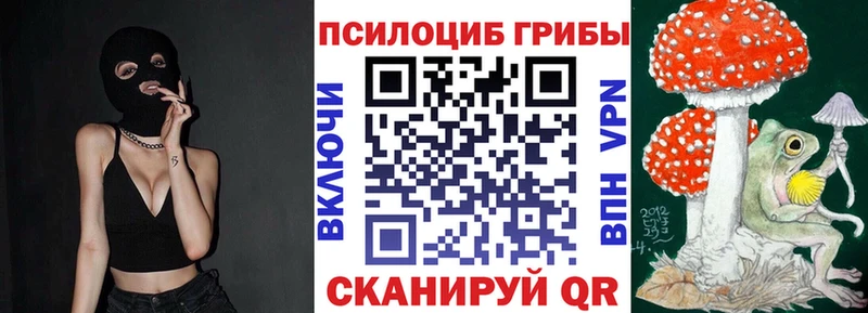 Псилоцибиновые грибы GOLDEN TEACHER  Купить где  Черногорск 